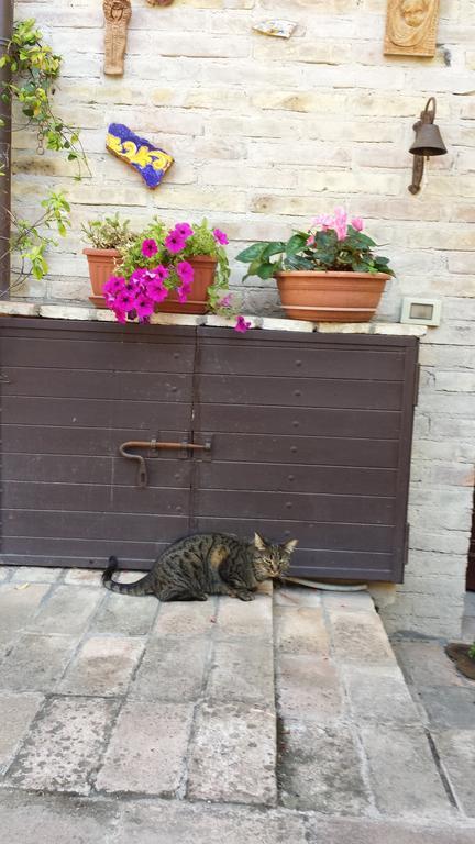B&B La Casuccia Di Assisi Luaran gambar